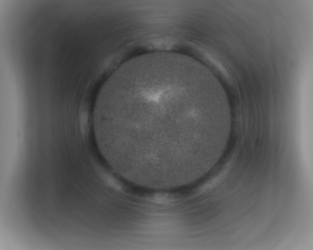 X0000113860641200909241308