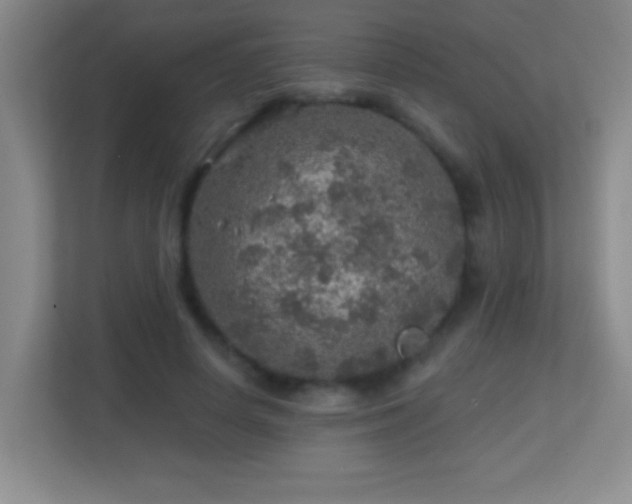 X0000113860642200909241308