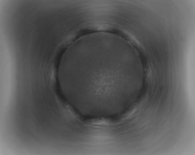X0000113860643200909241308