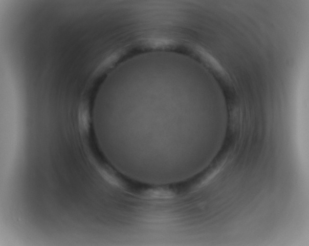 X0000113860644200909241308