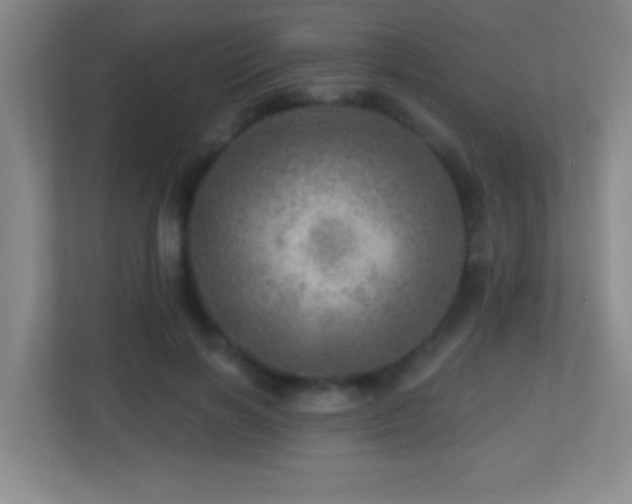 X0000113860646200909241309