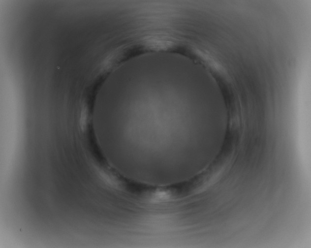 X0000113860647200909241309