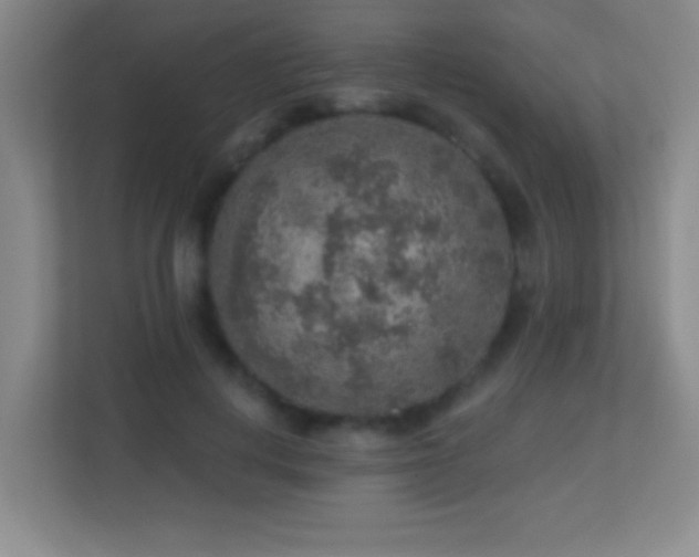 X0000113860648200909241309