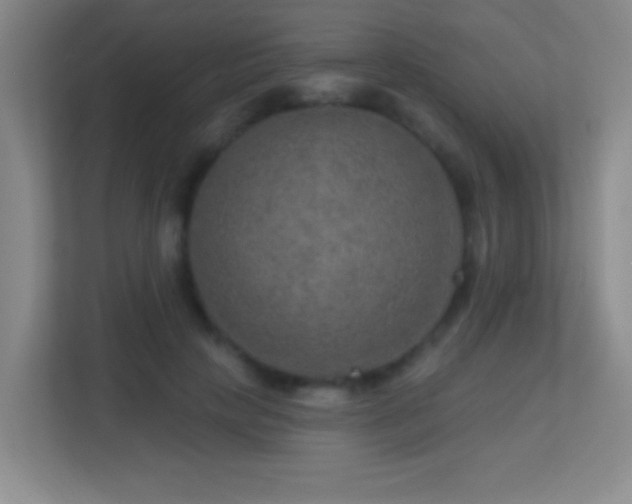 X0000113860649200909241309