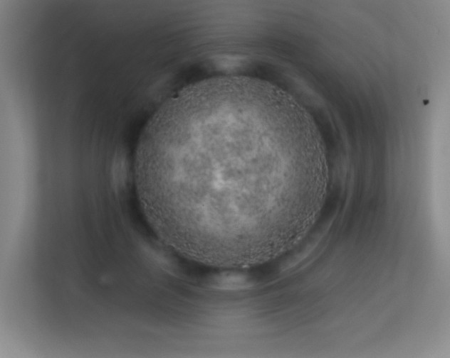 X0000113860651200909241309