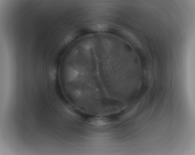 X0000113860652200909241309