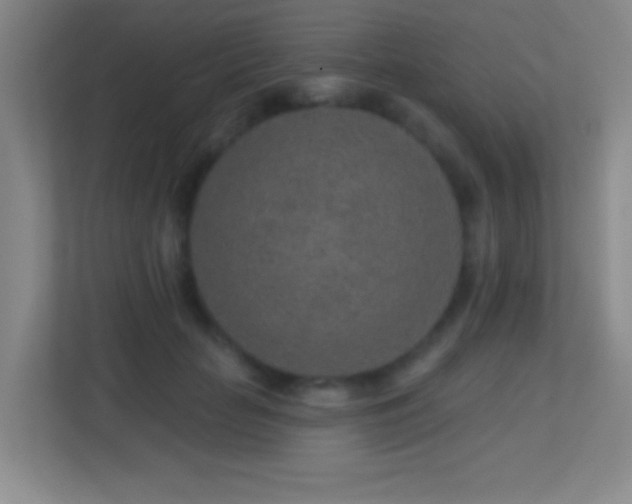 X0000113860653200909241309
