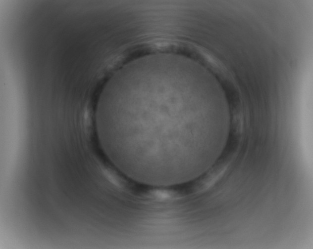X0000113860654200909241309
