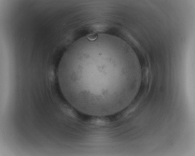 X0000113860655200909241309