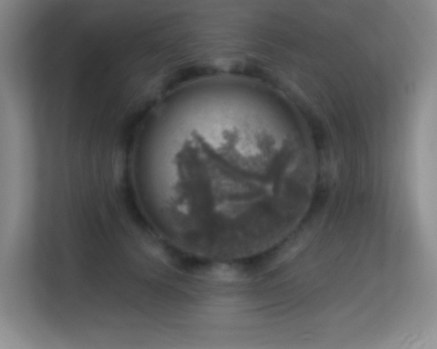 X0000113860656200909241309
