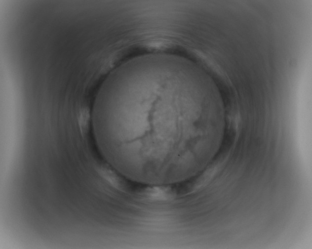 X0000113860660200909241309