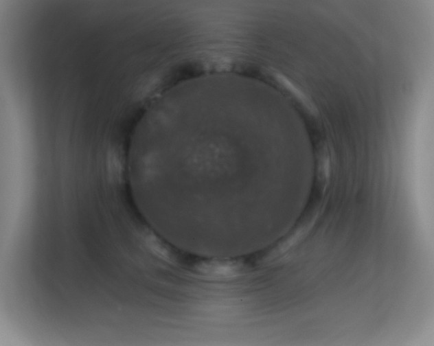 X0000113860661200909241309