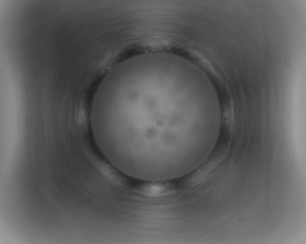 X0000113860662200909241309