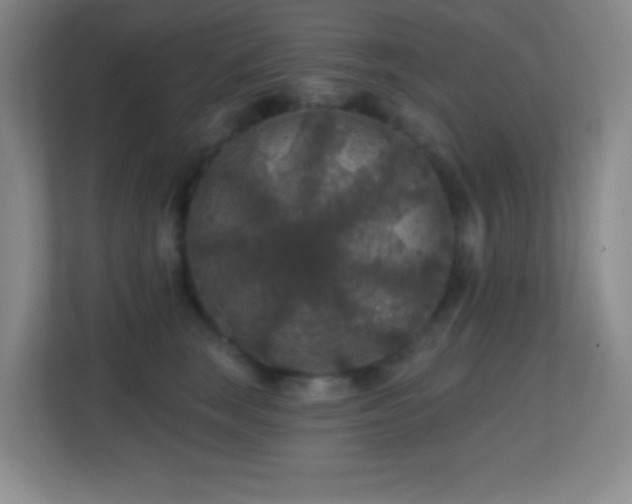 X0000113860663200909241309