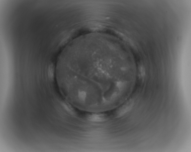 X0000113860664200909241309