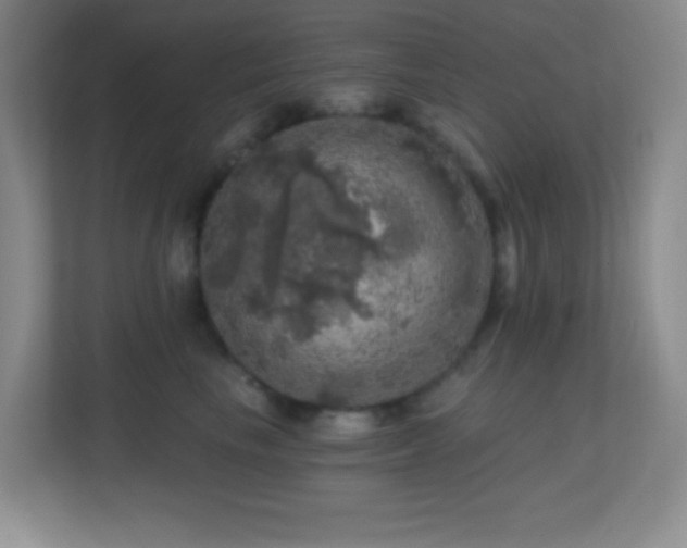 X0000113860665200909241309