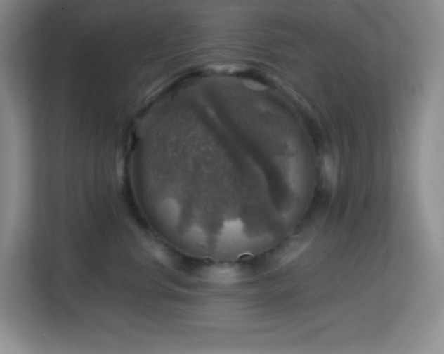 X0000113860668200909241309