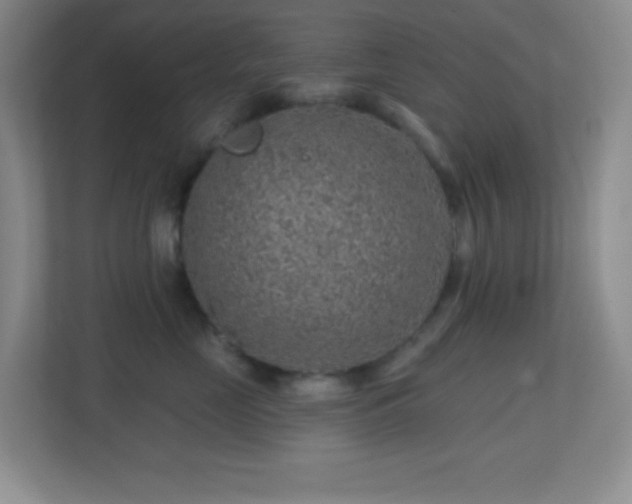 X0000113860669200909241309