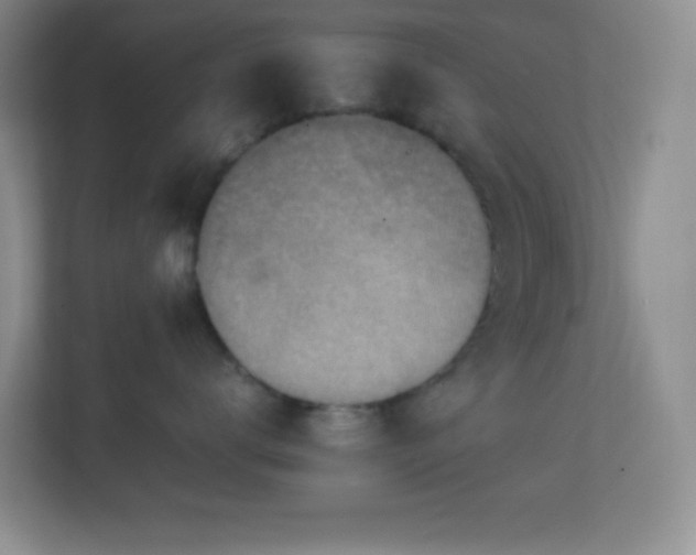 X0000113860672200909241309