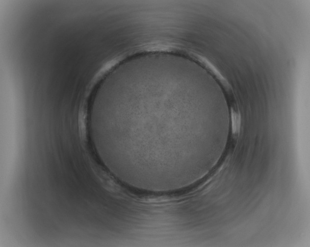 X0000113860675200909241308