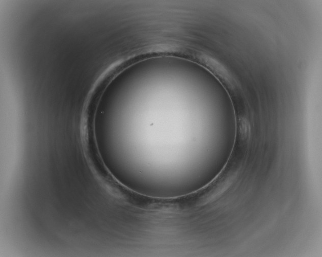 X0000113860676200909241308