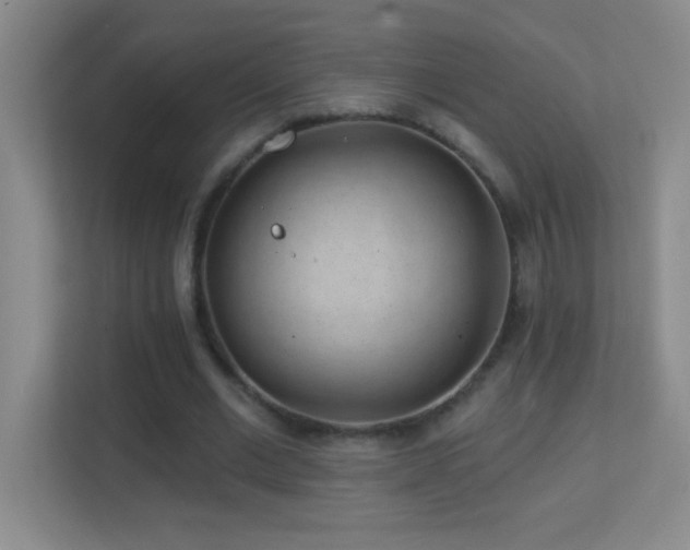X0000113860677200909241308