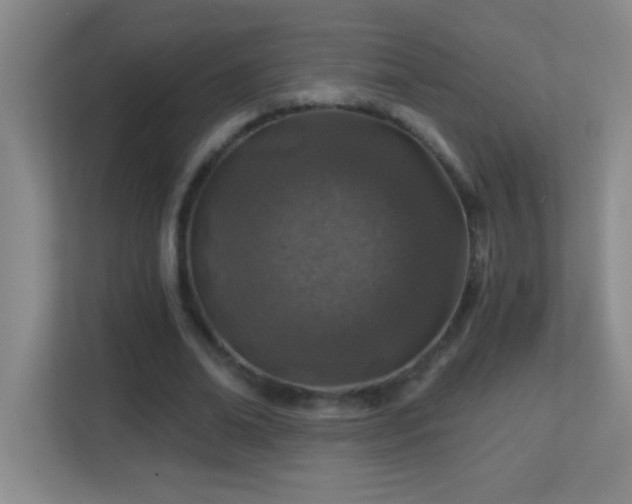 X0000113860678200909241308