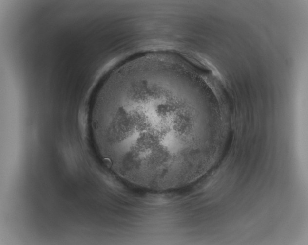 X0000113860679200909241308