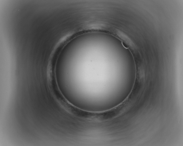 X0000113860680200909241308