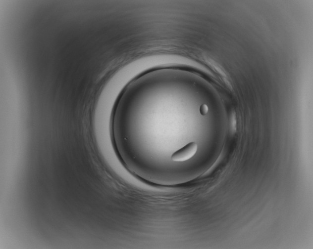 X0000113860681200909241308