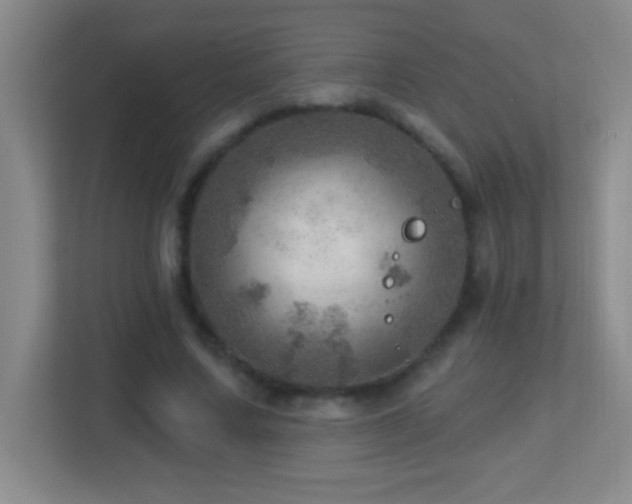 X0000113860683200909241308