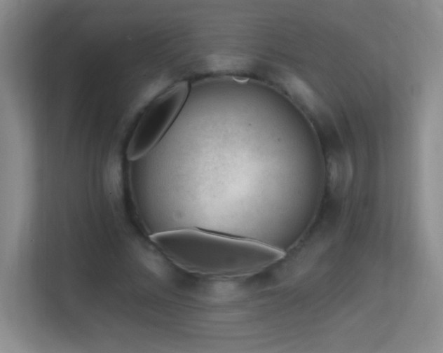 X0000113860684200909241308