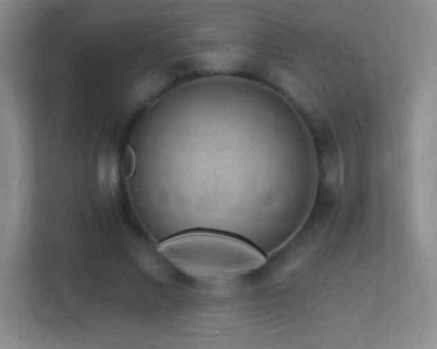 X0000113860685200909241308