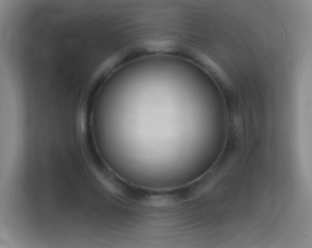 X0000113860686200909241308