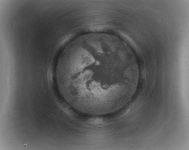 X0000113860687200909241308