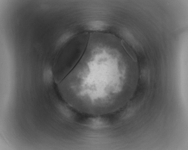 X0000113860688200909241308