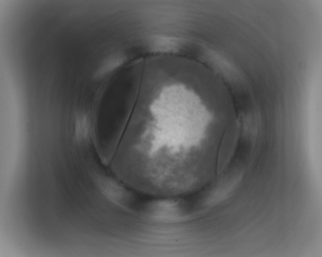 X0000113860692200909241308