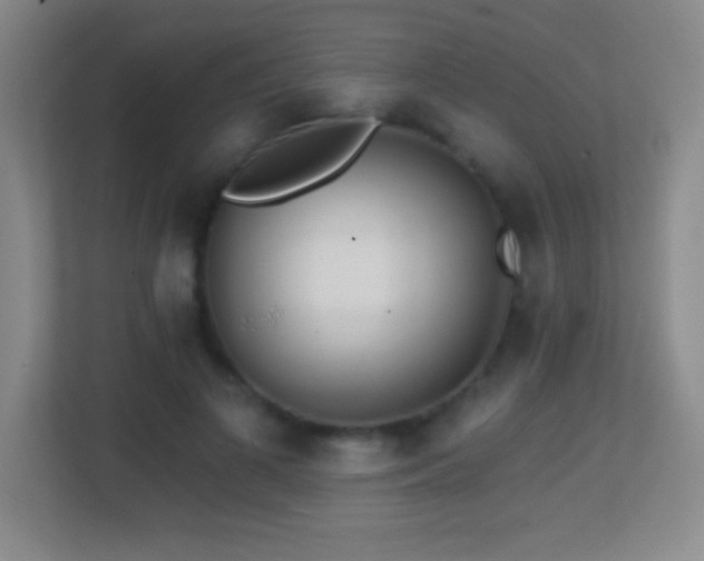 X0000113860693200909241308