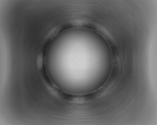 X0000113860694200909241308