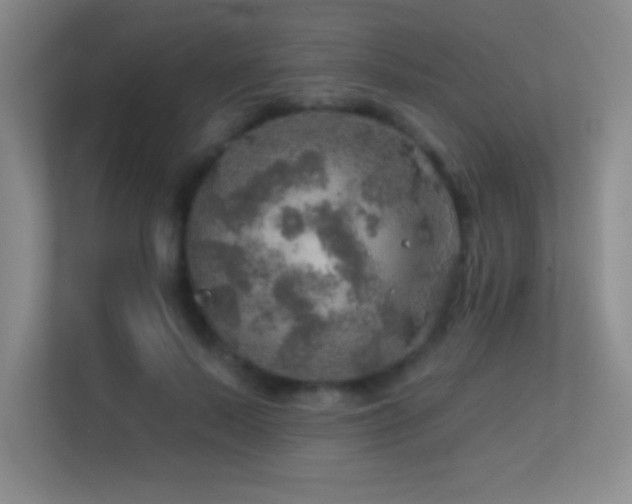 X0000113860695200909241308