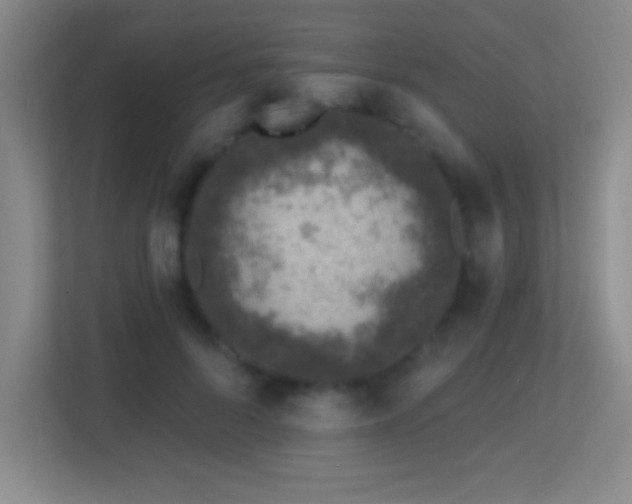 X0000113860696200909241308