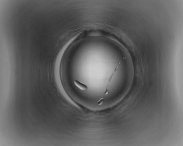 X0000113860697200909241308