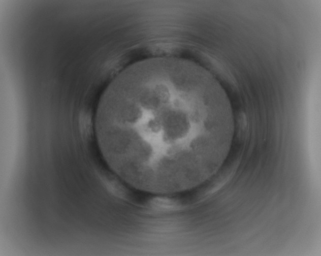 X0000113860699200909241308