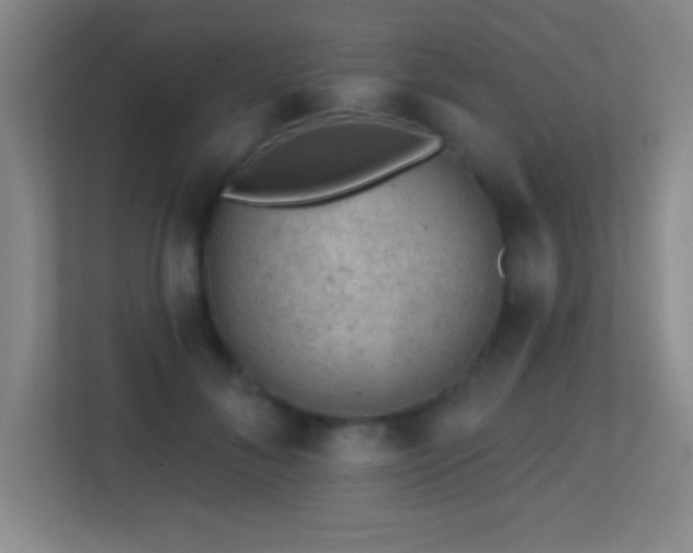 X0000113860700200909241308