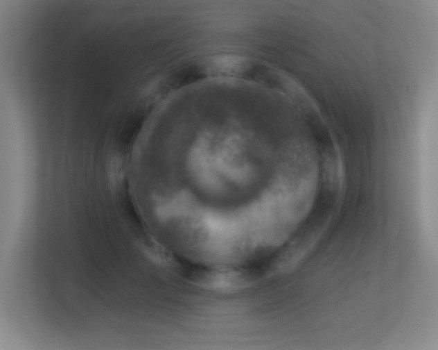 X0000113860701200909241308