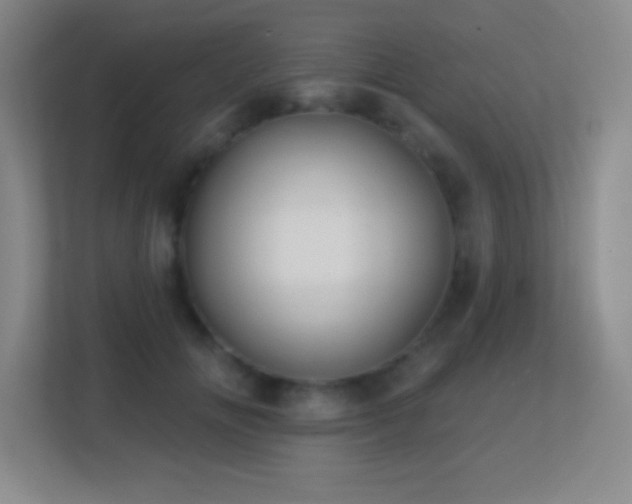 X0000113860702200909241308