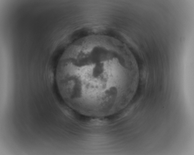 X0000113860703200909241308