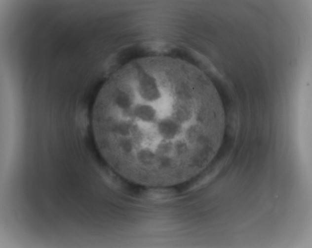 X0000113860707200909241308