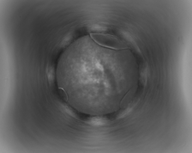 X0000113860708200909241308