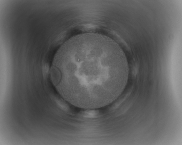 X0000113860711200909241308
